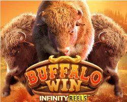 Buffalo Win